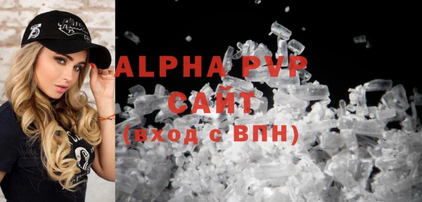 гидра Болотное