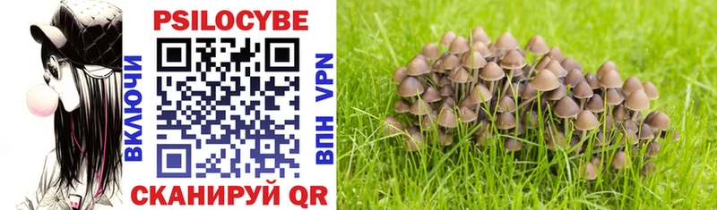 Псилоцибиновые грибы Psilocybine cubensis  наркота  Туапсе 